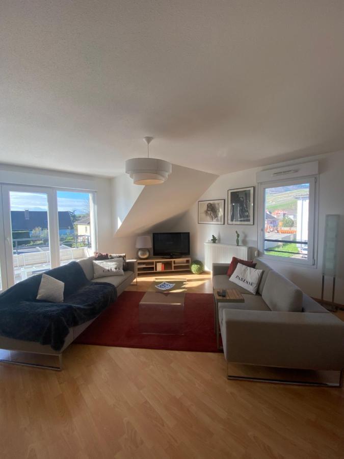 A2 Pas De Colmar Terrasse,Parking Apartment Wintzenheim Exterior photo